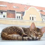 Apartament W Centrum Apartment *